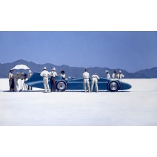 Bluebird at Bonneville